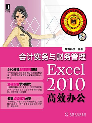 Excel2010高效办公：会计实务与财务管理